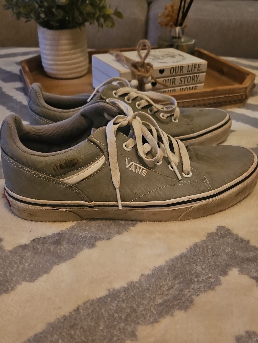 Vans Low-Top Suede Sneakers Gray With White Stripe